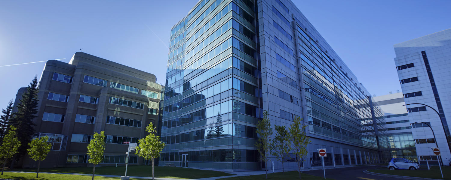 About Rheumatology Cumming School of Medicine University of Calgary